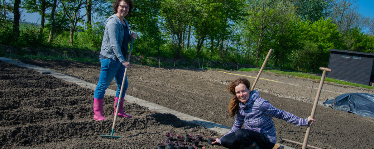 Moestuin Hetty en Katja