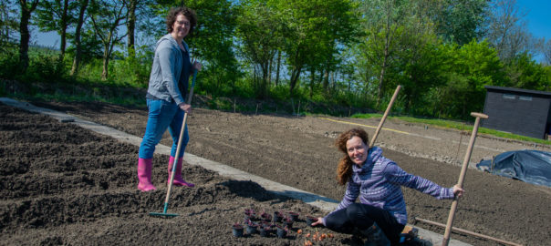 Moestuin Hetty en Katja